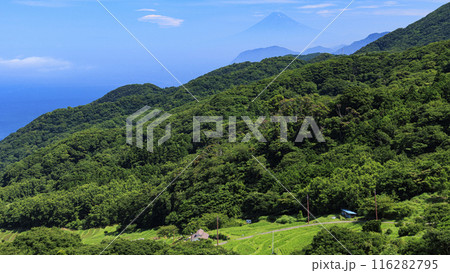 静岡県賀茂郡松崎町の石部の棚田 静岡県賀茂郡松崎町の石部の棚田 116282795