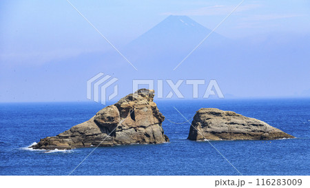 雲見海岸から見たい富士山 雲見海岸から見たい富士山 116283009