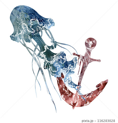 Watercolor and ink hand drawn marine life, sea ocean underwater creatures. fish, shells algae seaweed. Composition illustration, stylized, isolated on white. For zoo shop, aquarium, cosmetics, resort 116283028