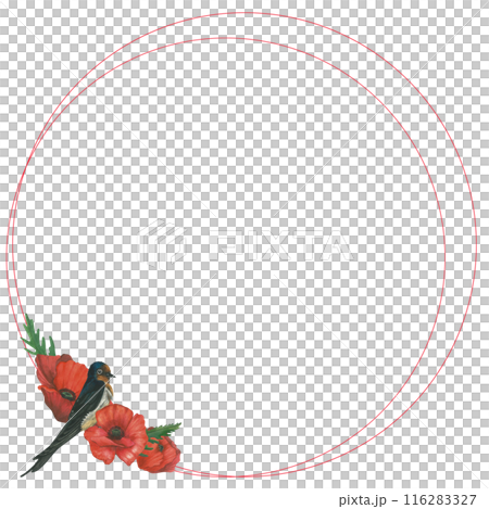 Round frame of watercolor illustrations of a red poppy and a swallow. Hand drawn, isolated on a white background. For congratulations and cards Round frame of watercolor illustrations of a red poppy and a swallow. Hand drawn, isolated on a white background. For congratulations and cards 116283327