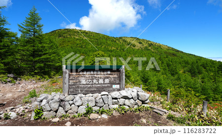 湯の丸高原 116283722