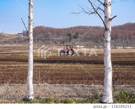 帯広市八千代公共育成牧場で働くトラクター（北海道帯広市） 116284251
