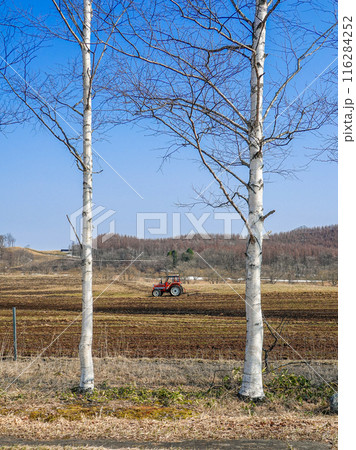 帯広市八千代公共育成牧場で働くトラクター(北海道帯広市) 帯広市八千代公共育成牧場で働くトラクター(北海道帯広市) 116284252
