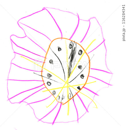 Childlike drawing of a flower on a white background. 116284341