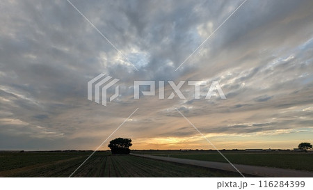 西空の 超－巨大な龍神雲　”ドラゴン” 116284399