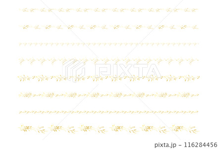 手書きの草木のラインセット。金色。 手書きの草木のラインセット。金色。 116284456
