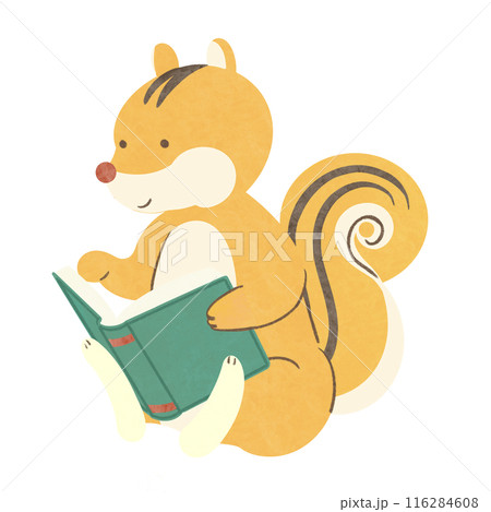 読書 リス 黄色 読書 リス 黄色 116284608