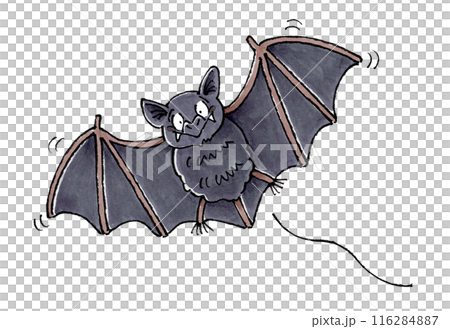 Flying bats 116284887