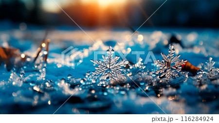 Winter frost, frosty snowflakes, cold weather - AI generated image 116284924
