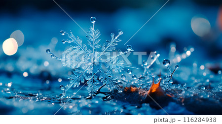 Winter frost, frosty snowflakes, cold weather - AI generated image 116284938