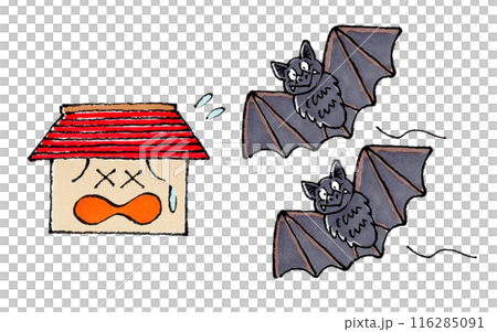 Bats invading the house (unwelcome house) Bats invading the house (unwelcome house) 116285091