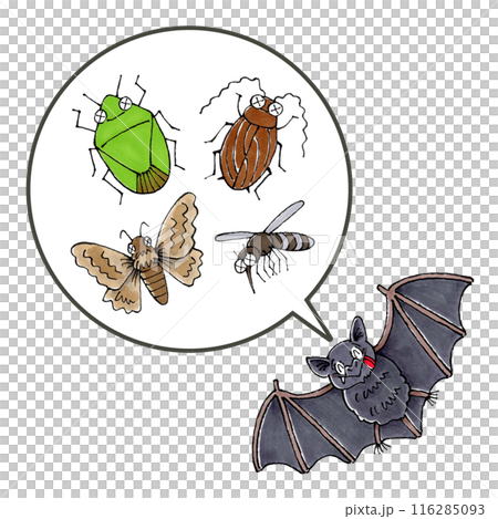 コウモリと餌(カメムシ、ゴキブリ、蛾、蚊) コウモリと餌(カメムシ、ゴキブリ、蛾、蚊) 116285093