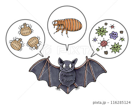 コウモリと寄生虫(ダニ、ノミ、病原菌) 116285124