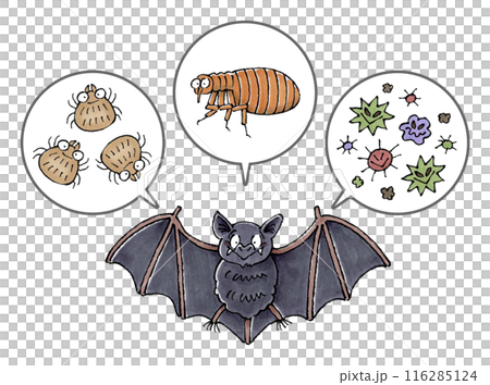 コウモリと寄生虫(ダニ、ノミ、病原菌) 116285124