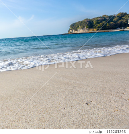 和歌山県 白良浜の穏やかな海岸の風景 116285268