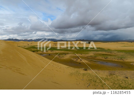 モンゴルのミニゴビ、エルセンタサルカイ砂丘 モンゴルのミニゴビ、エルセンタサルカイ砂丘 116285455