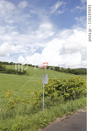 何もない田舎のバス停と小高い牧草地 夏の空 何もない田舎のバス停と小高い牧草地 夏の空 116285691