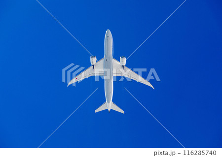 青空を滑空する旅客機 青空を滑空する旅客機 116285740