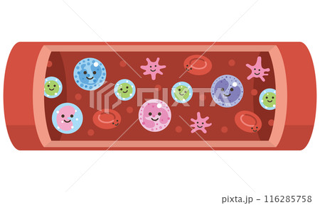 血液を構成する要素(文字なし) 血液を構成する要素(文字なし) 116285758