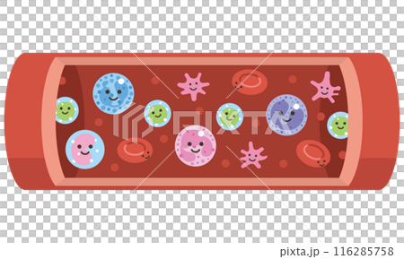 血液を構成する要素(文字なし) 血液を構成する要素(文字なし) 116285758