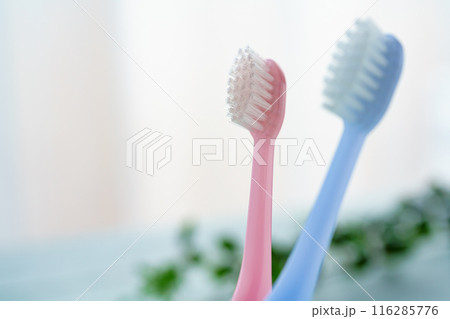 歯ブラシ 116285776