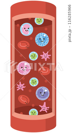 血液を構成する要素（縦バージョン） 116285966