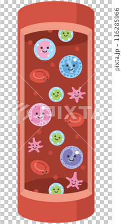 血液を構成する要素（縦バージョン） 116285966