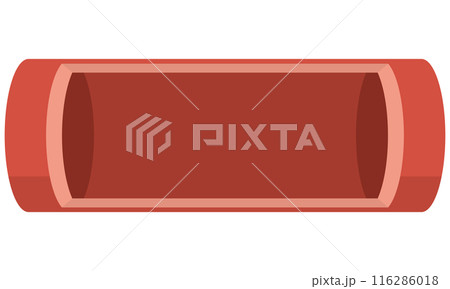 素材　空の血管　イラスト　ベクター 116286018