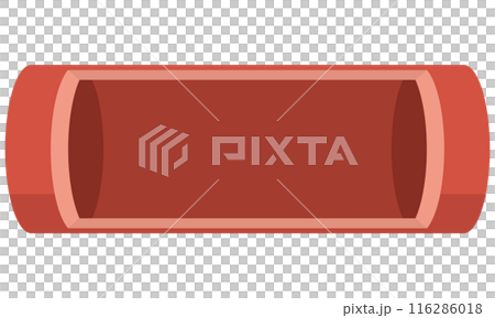 素材　空の血管　イラスト　ベクター 116286018