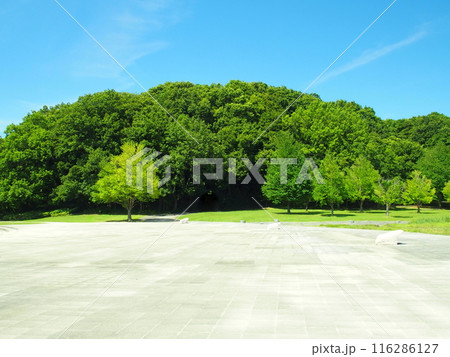 石畳の広場と林のある夏の21世紀の森と広場風景 116286127