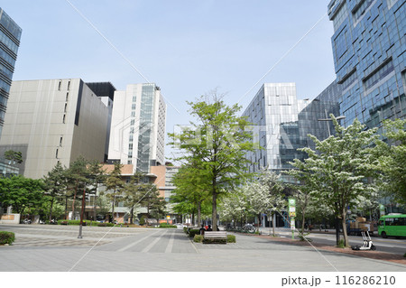 韓国ソウル デジタルメディアシティ(DMC)の街並み 116286210