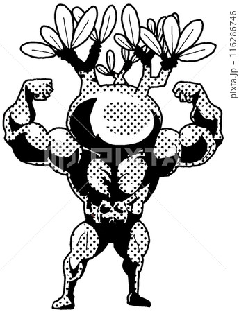 ムキムキに育ったパキポディウムグラキリス(モノクロ1 ムキムキに育ったパキポディウムグラキリス(モノクロ1 116286746