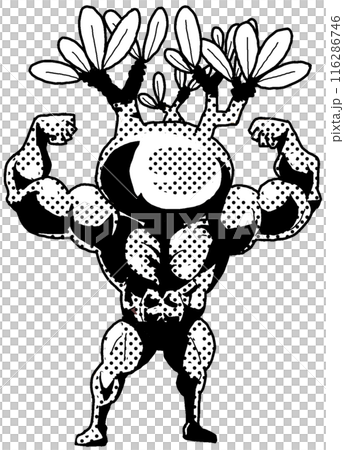 ムキムキに育ったパキポディウムグラキリス(モノクロ1 ムキムキに育ったパキポディウムグラキリス(モノクロ1 116286746