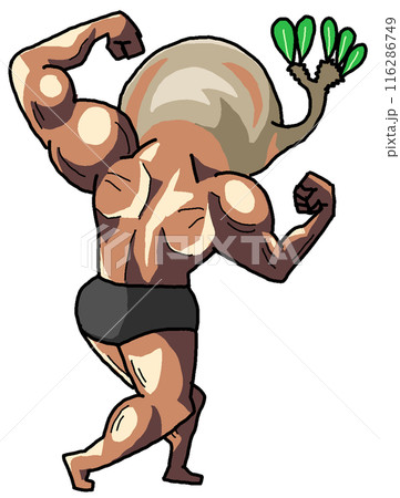 ムキムキに育ったパキポディウムグラキリス(カラー3 ムキムキに育ったパキポディウムグラキリス(カラー3 116286749