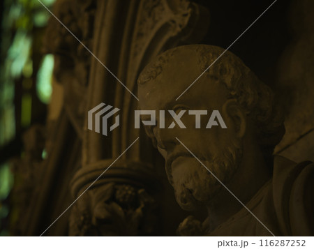 暗い感じの男性の石像 116287252