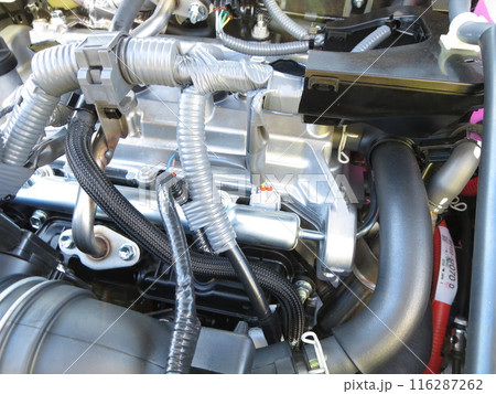 日本車のヒューズ 116287262