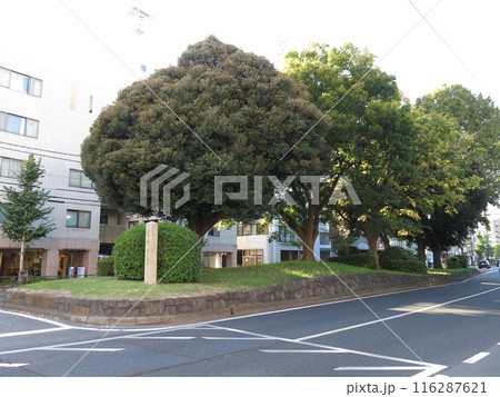 東京都北区の西ヶ原一里塚（南側） 116287621