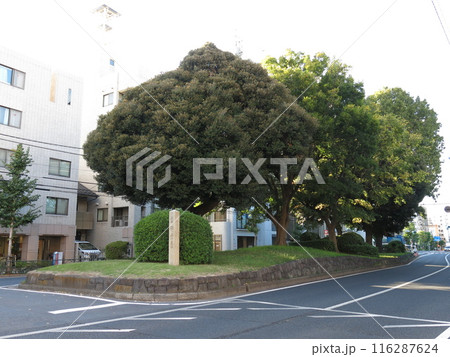 東京都北区の西ヶ原一里塚（南側） 116287624