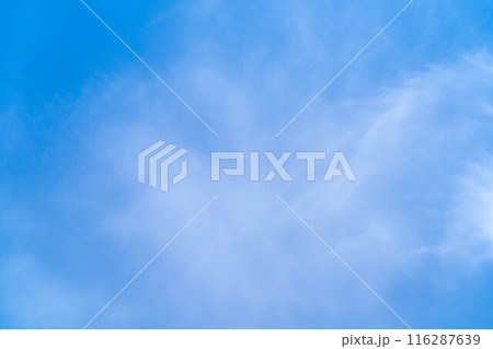 【空素材】初夏の薄雲広がる青空【長野県】 116287639