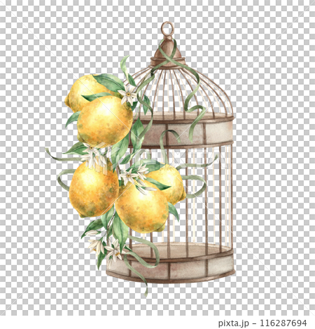 Metal bird cage with a branch of yellow lemons and greenery, thin satin ribbons. Isolated watercolor illustration in vintage style. Composition drawn for interior, cards, wedding design, invitations. 116287694