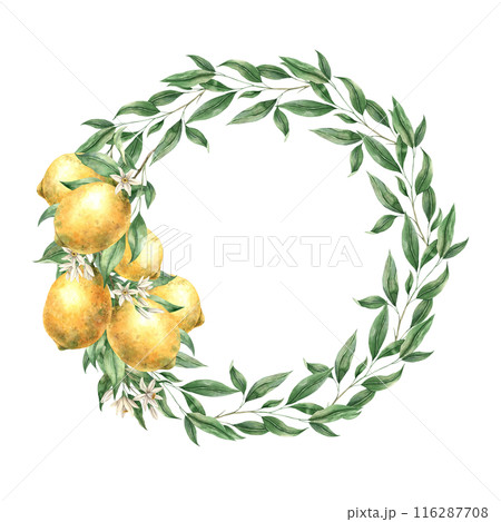 Botanical floral wreath with a branch of yellow lemons. Isolated watercolor illustration in realistic style. Hand drawn illustration for interior, cards, wedding design, invitations, textiles 116287708