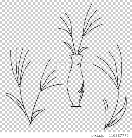 手繪線條藝術 Susuki 插圖，各種套裝 116287773