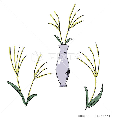 すすきの手描きイラスト、バラエティーセット 116287774