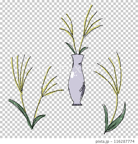 すすきの手描きイラスト、バラエティーセット 116287774