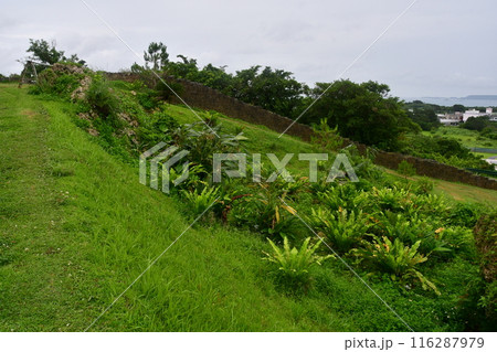 勝連城237 116287979