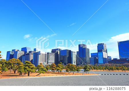 東京都千代田区、皇居外苑とビル群の風景 116288075