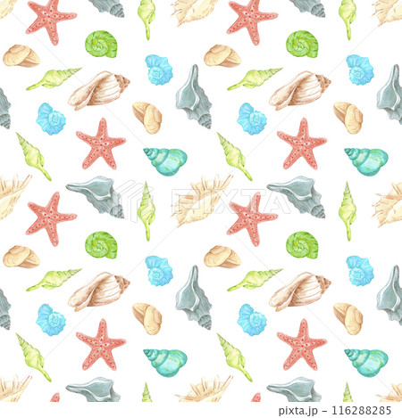 Hand drawn watercolor seashells seamless pattern isolated on white background. Marine illustration can be used for textile, fabric, wrapping and other printed products. Hand drawn watercolor seashells seamless pattern isolated on white background. Marine illustration can be used for textile, fabric, wrapping and other printed products. 116288285