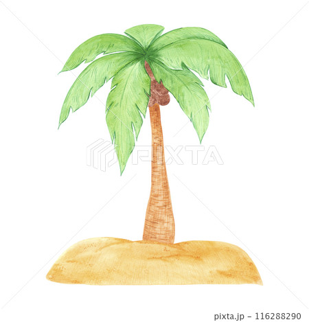 Hand drawn watercolor palm tree on the sand isolated on white background. Can be used for cards, label, scrapbook and other printed products. 116288290