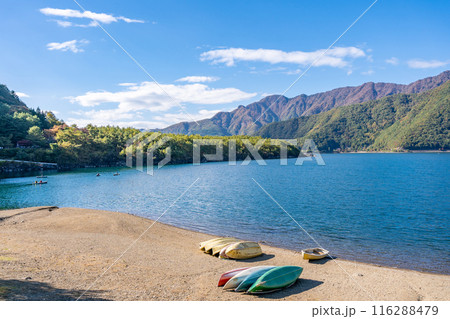 西湖　淡い藍色の湖水で山々と青木ヶ原樹海に囲まれた神秘的な魅力 116288479
