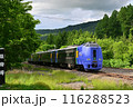 特急サロベツ　塩狩峠 116288523